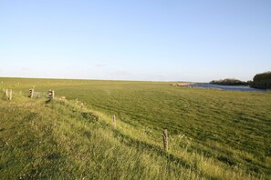 Imagen sin descripción, 3 de 15, botón