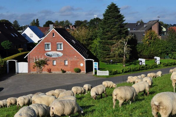 Unclassified image, 1 of 8, button