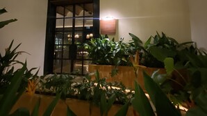 A room with hanging pendant lights, a wooden table with plants, and a view of a building through a window. - Las Brisas Merida (Mérida)