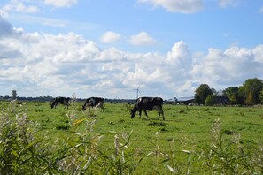 Nicht klassifiziertes Bild, 5 von 11, Schaltfläche