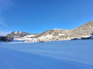 Imagem sem classificação, 5 de 41, botão