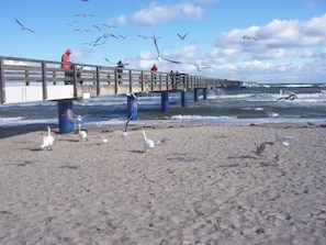 Tæt på stranden