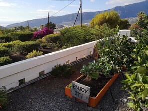A rooftop garden with a sign that reads "ENJOY IT!" and a view of the city and mountains in the background.