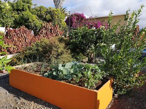 المنطقة المحيطة بالمنشأة