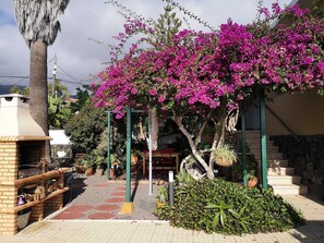 A patio area with a barbecue grill, potted plants, and a pergola with flowering vines.