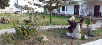 IL GABBIANO (IUN: P5444)