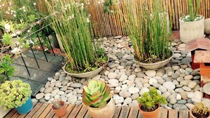 A garden with various potted plants and a bamboo fence. - La Casa de Bulnes (Buenos Aires)