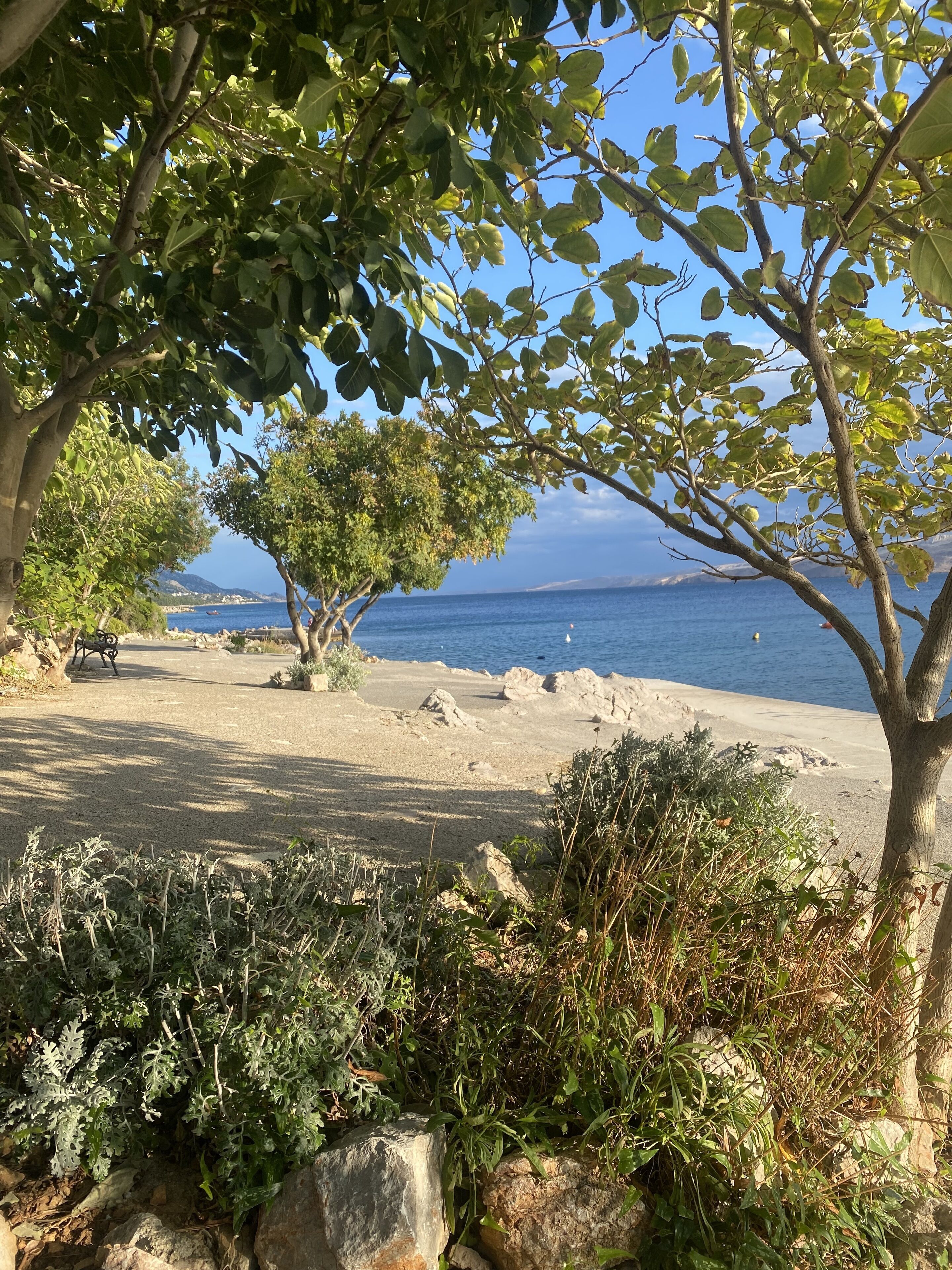 Sun loungers