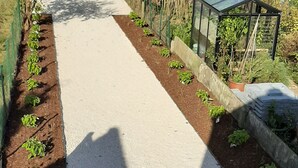 Un chemin recouvert de gravier, bordé d’un parterre surélevé où sont plantées de petites plantes.