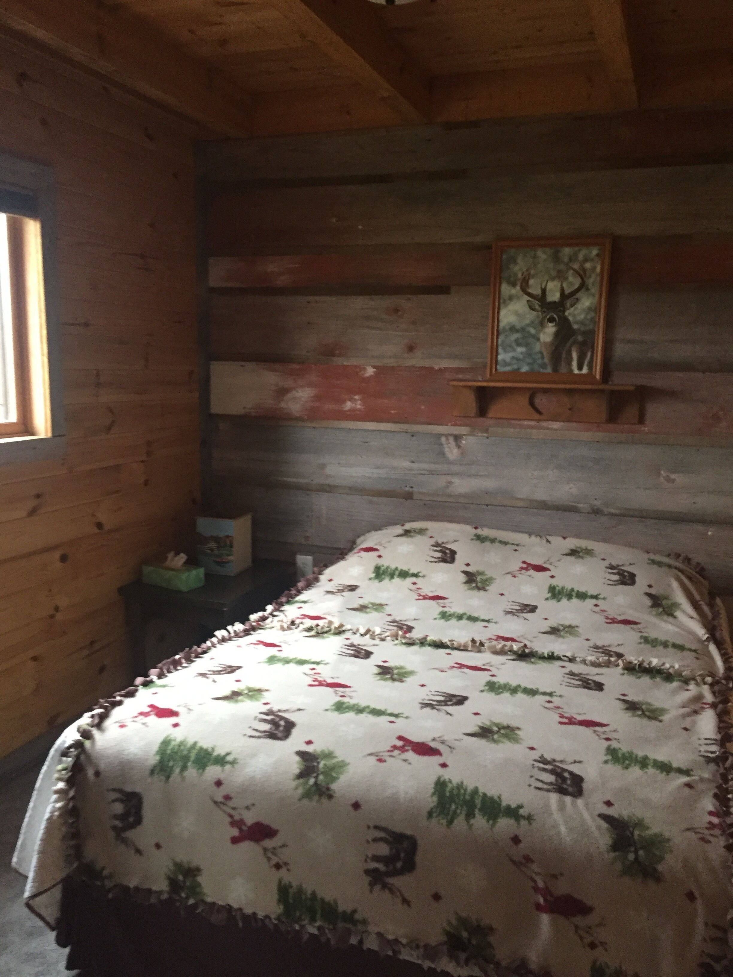 Rustic cabin in the woods