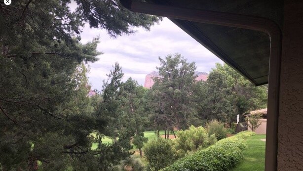 Blick von einer überdachten Veranda auf einen angelegten Garten mit verschiedenen Bäumen und Sträuchern.