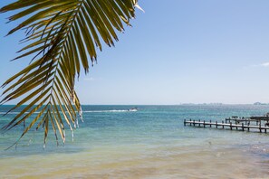 On the beach, white sand - Peaceful & Confortable Oceanfront Studio (Cancun)