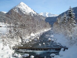 Unclassified image, 2 of 88, button