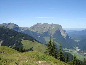 Unclassified image, 3 of 88, button