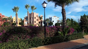 A landscaped area with palm trees, a street lamp, and a variety of shrubs and flowers.