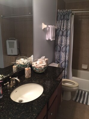 Combined shower/tub, jetted tub, hair dryer, towels