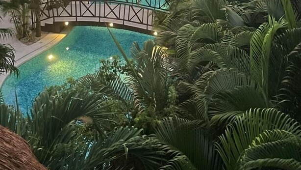 A resort with a swimming pool surrounded by palm trees and a bridge.