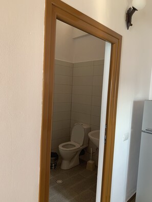 Regadera, bidet, toallas, papel de baño 