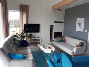 TV connectée, cheminée, livres