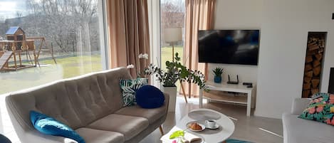 Smart TV, fireplace, books