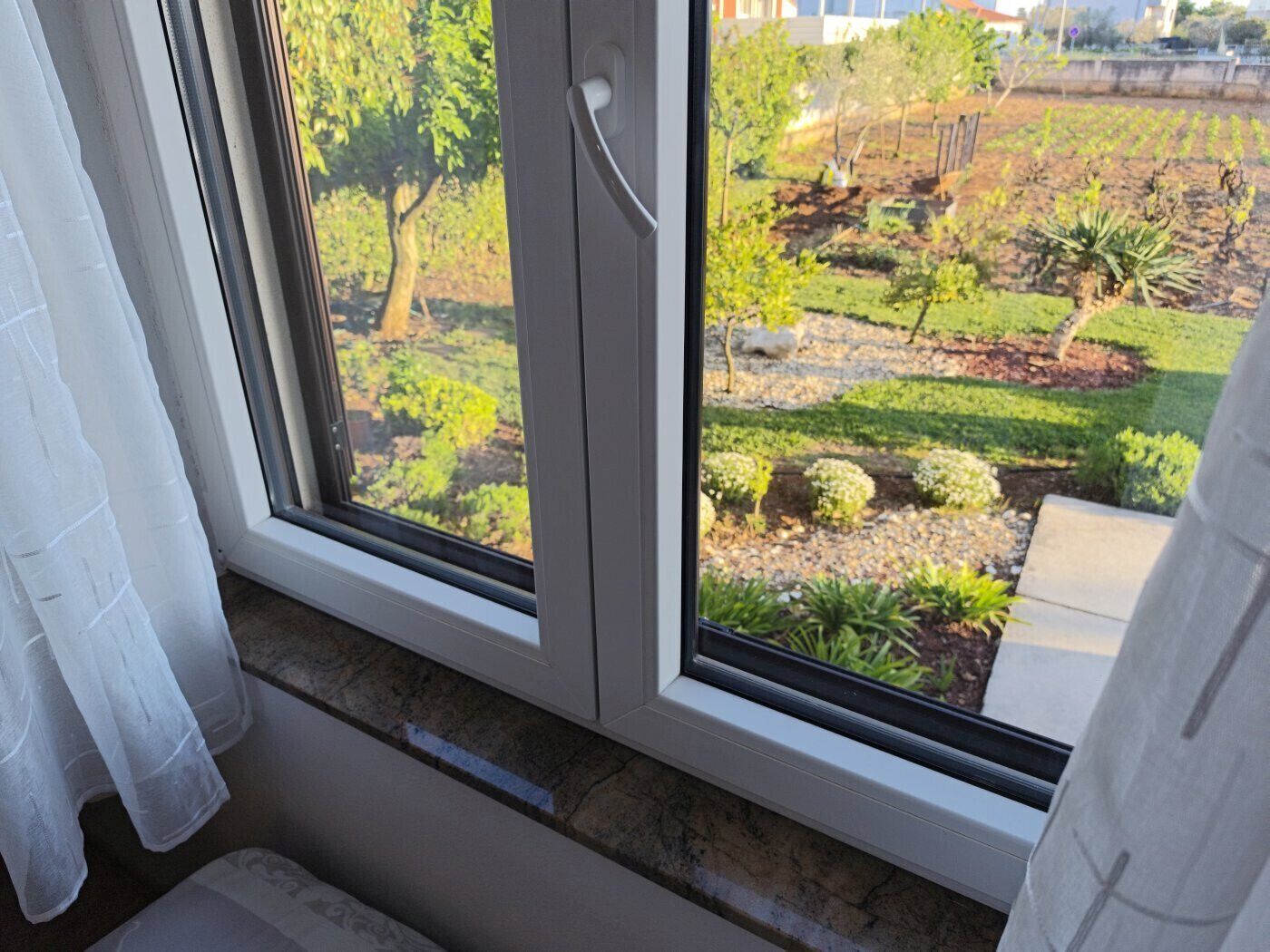 A window with a view of a garden with various plants and trees.
