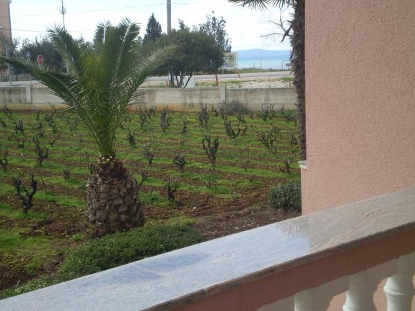 A balcony with a view of a vineyard.