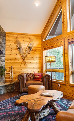 Smart TV, fireplace, video games, DVD player