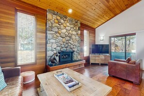 TV, fireplace, books