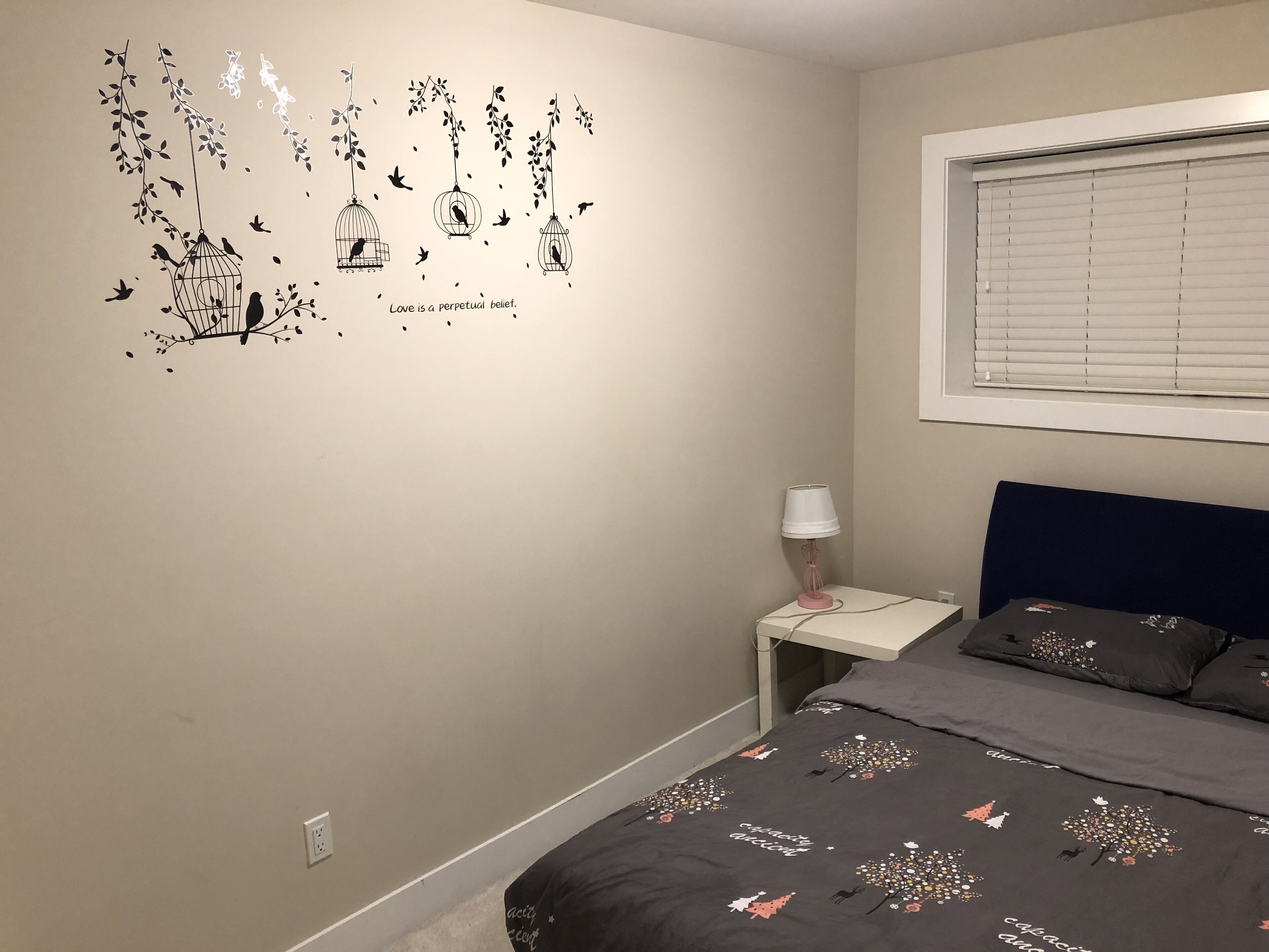 3 bedrooms New house basement unit south Surrey