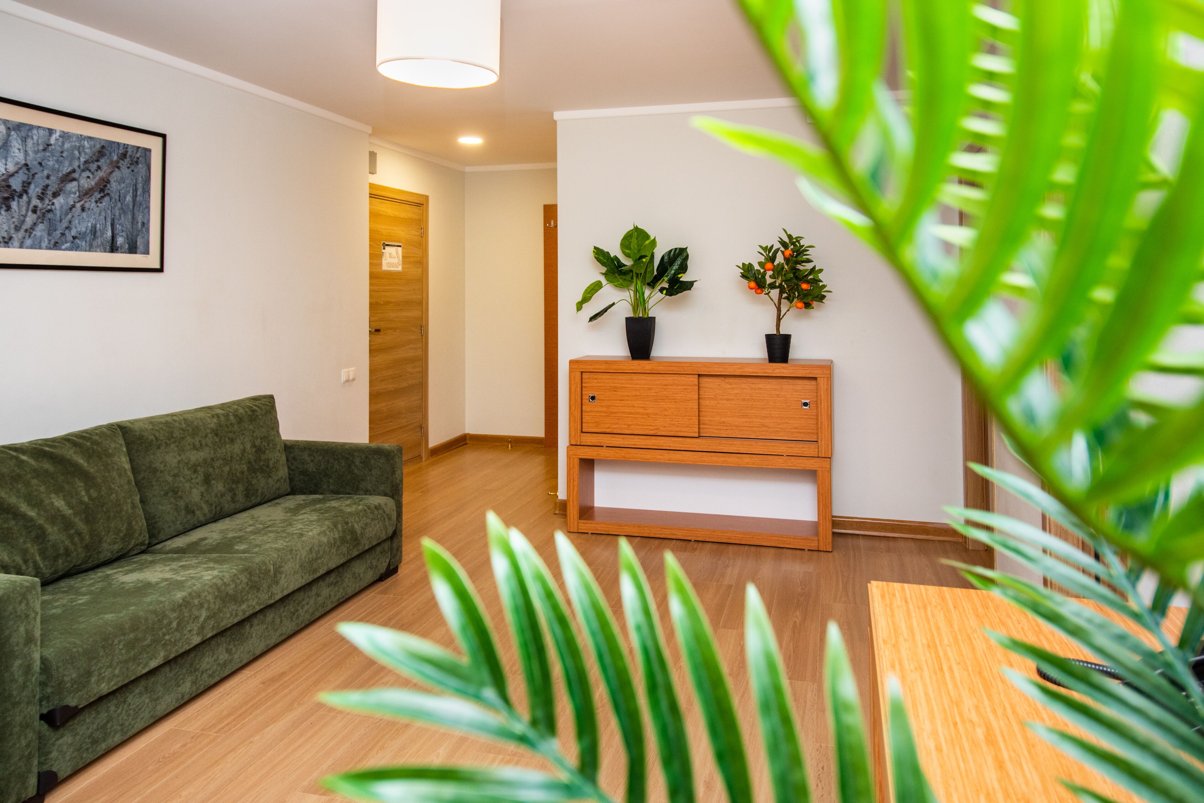 Una sala de estar moderna con un sofá verde, un mueble de madera y plantas en macetas.