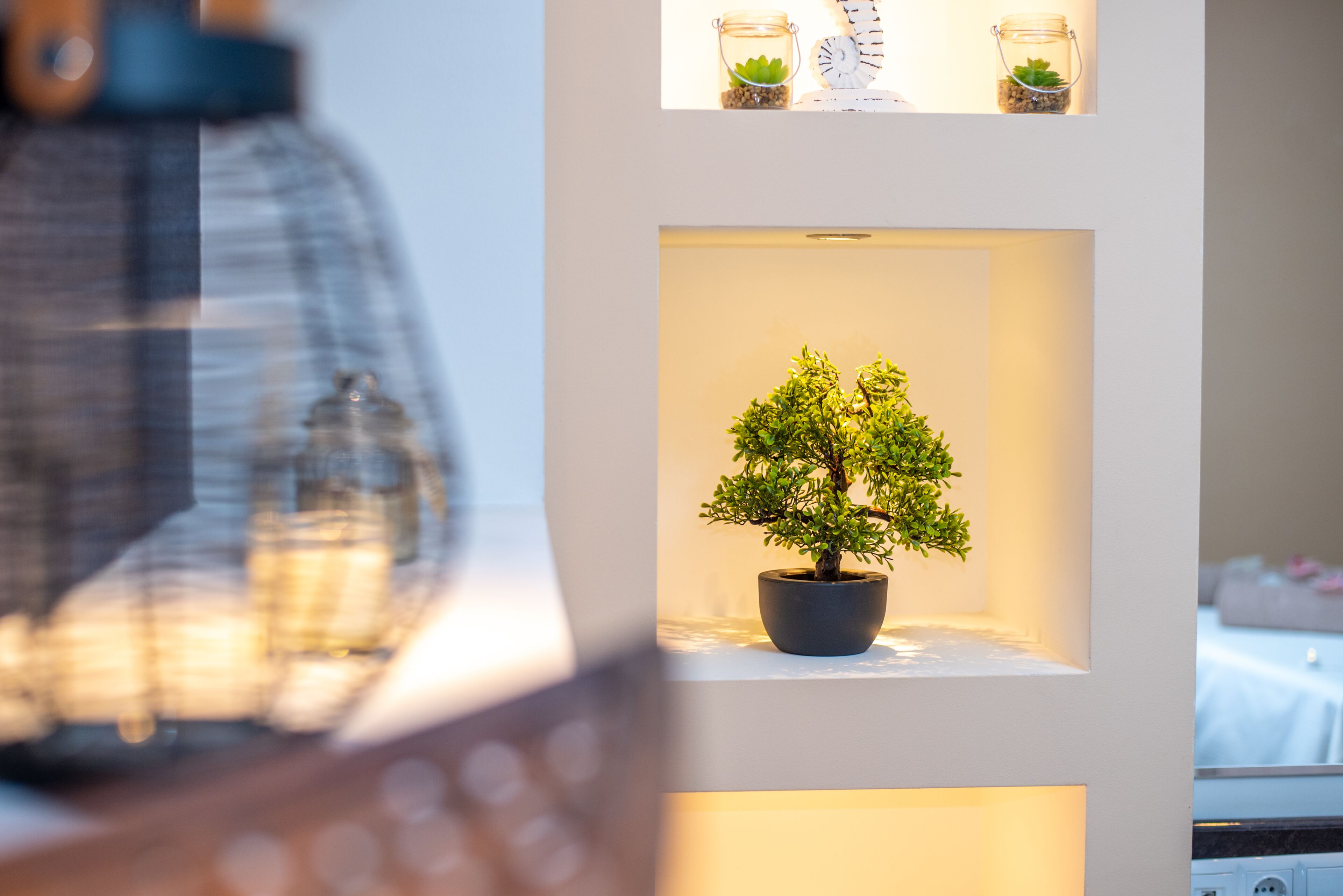 Ein Bonsai-Baum im Topf auf einem Regal, darüber eine kleine Uhr und eine Sukkulente in einem Glas.