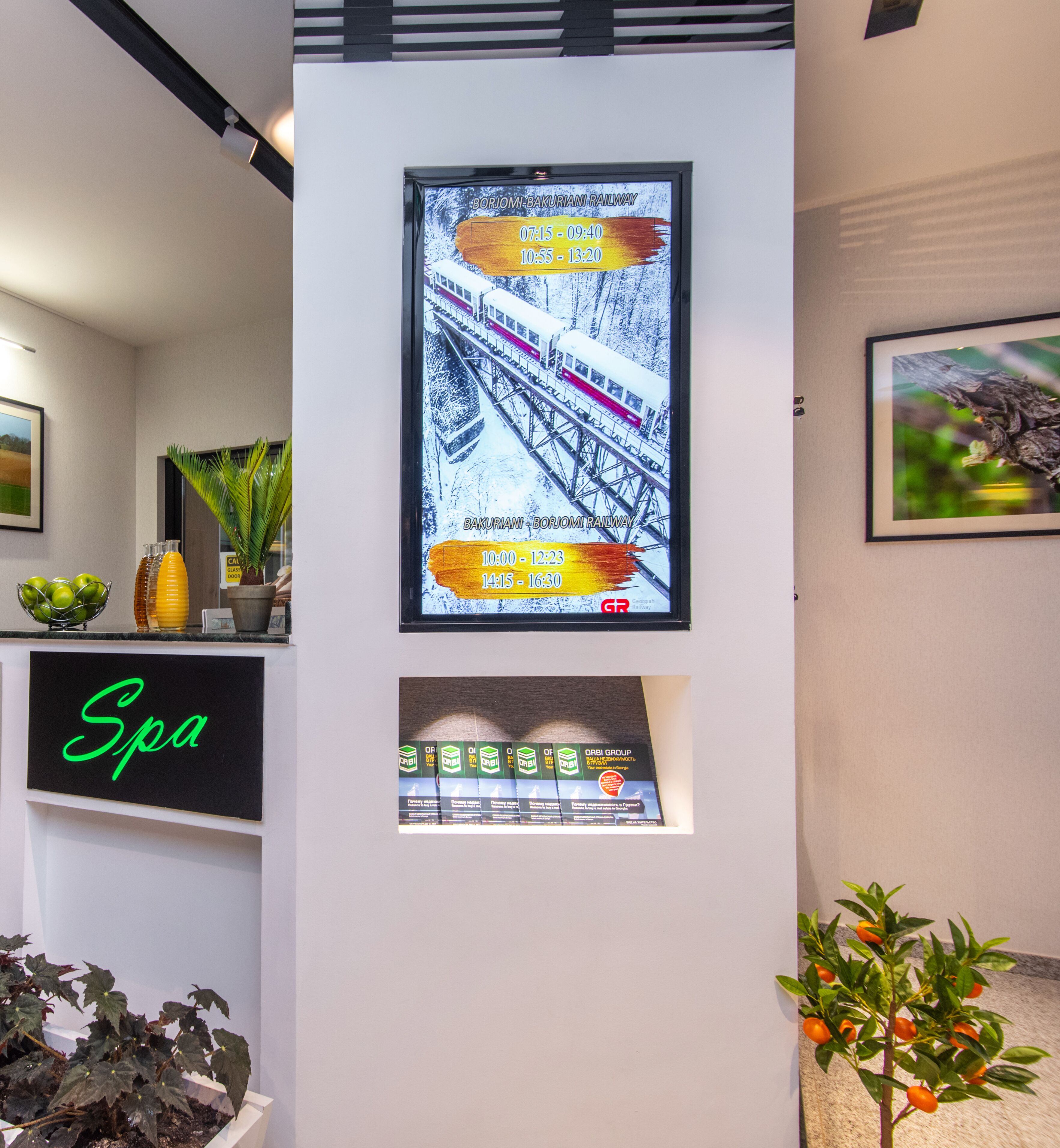 A wall with a framed picture of a train on the Borišić-Bakrenina Railway, a sign for a spa, and a small plant with orange fruits.