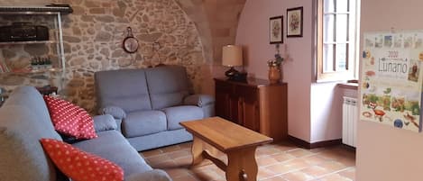 Flat-screen TV, fireplace, DVD player, books