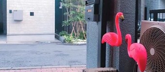 Convenient access to Tokyo Ikebukuro Shinjuku Shibuya direct line, ideal for business trips. Being away from commercial areas, it is quiet enough to sleep at night! Please enjoy your stay.