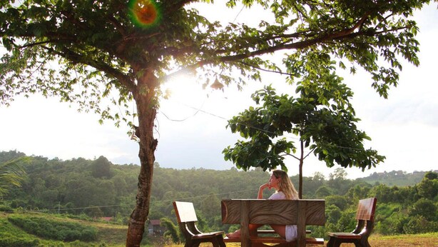 Outdoor dining - Om Ma Ya oM Center (Sen Monorom)