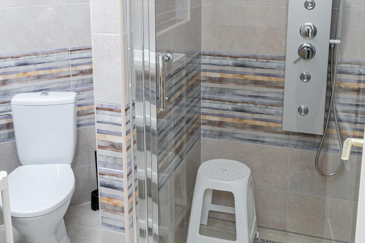 Shower, hydromassage showerhead, free toiletries, hair dryer