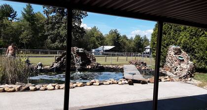 Quiet, private, whole house, 4 bedroom, 2 bath, horse farm retreat. 2000 sq ft.