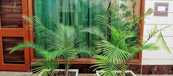 Panchhi's NEST - Entire Apartment