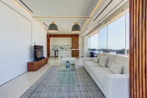 Televisión y chimenea 