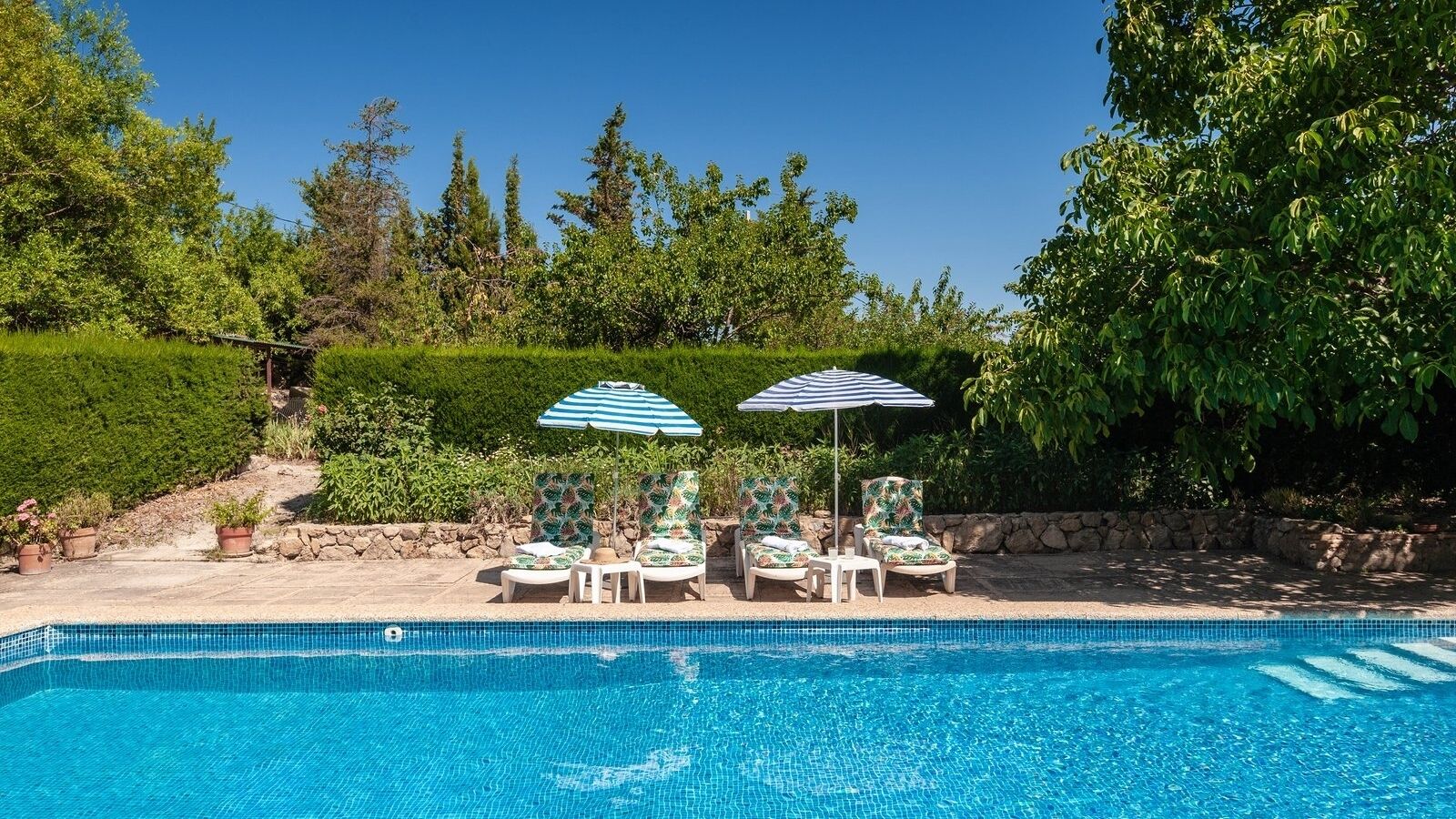 A swimming pool with lounge chairs and umbrellas, surrounded by greenery and trees.
