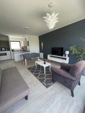 Living area - Giulietta's house (Mendoza)