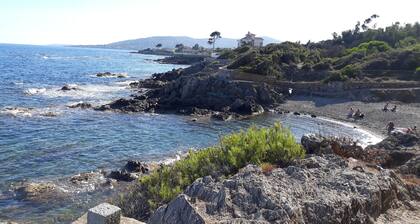 Apartment "feet in the water" in St Aygulf