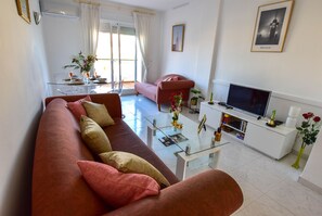 Una Smart TV, un reproductor de DVD, libros