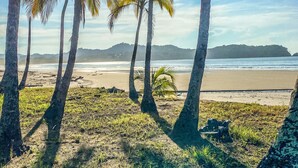 Una playa con palmeras y vista al océano.