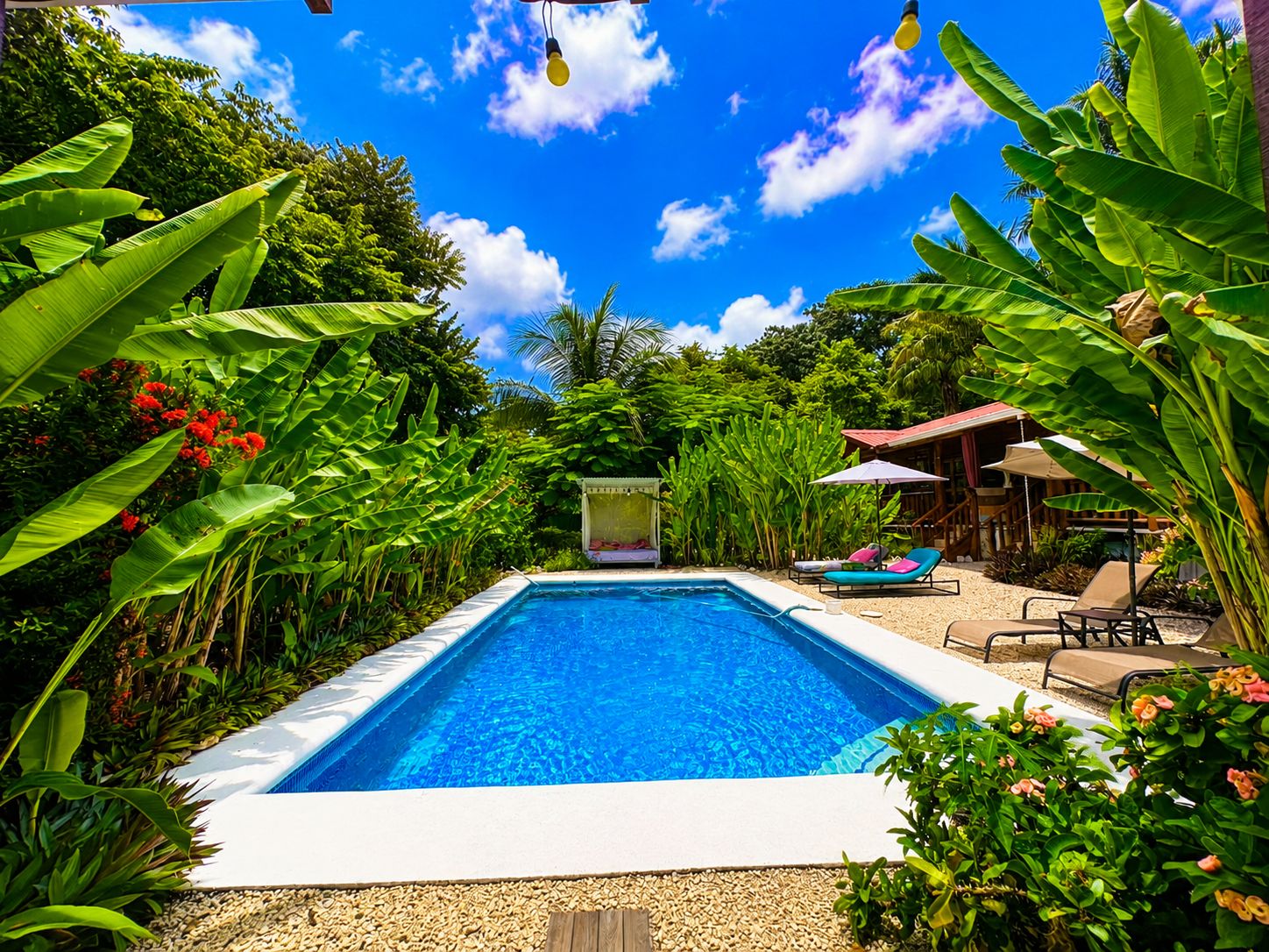 Una piscina rodeada de exuberante vegetación y un cielo azul despejado.