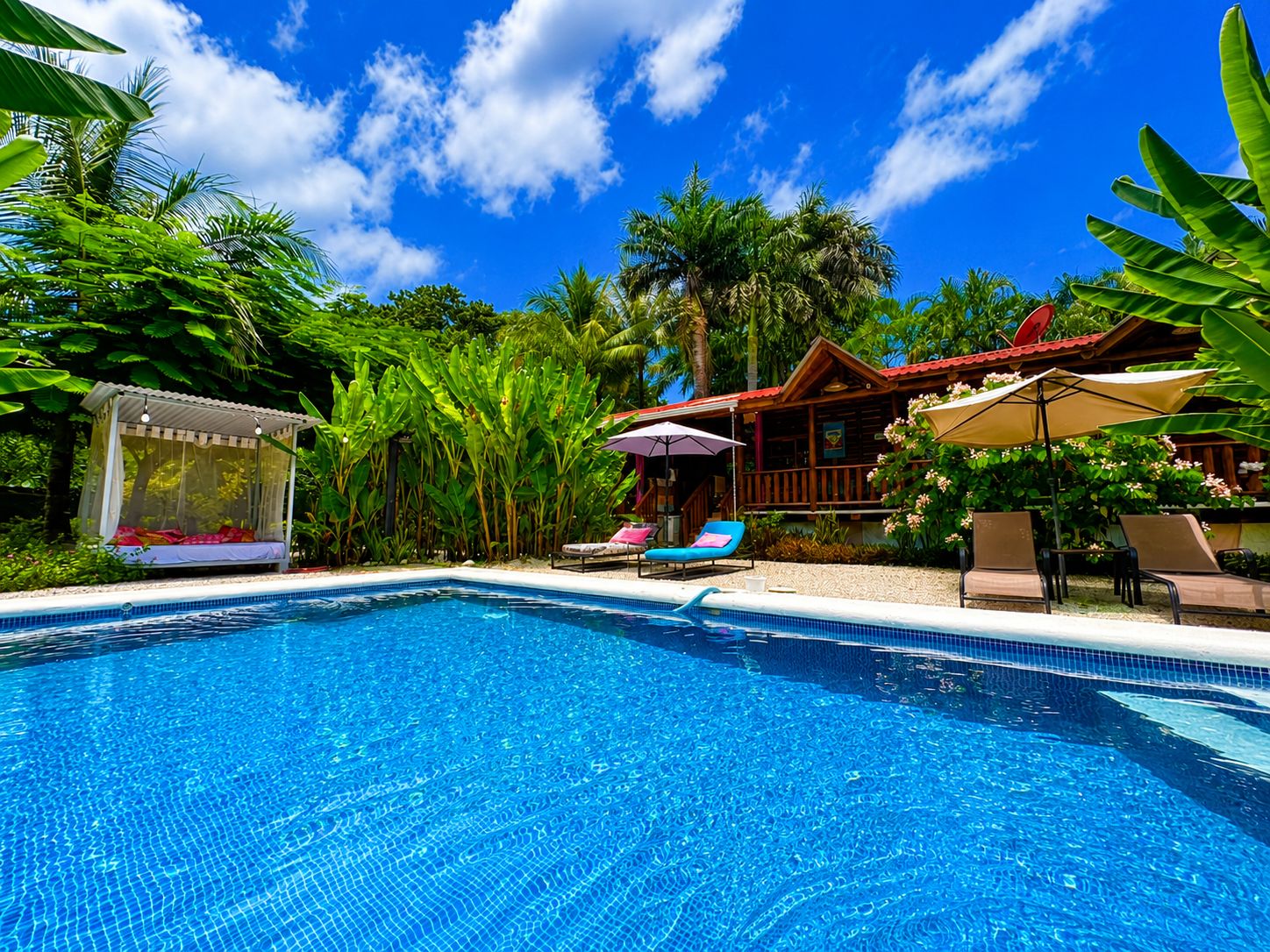 A swimming pool with lounge chairs and a wooden building with a red roof.