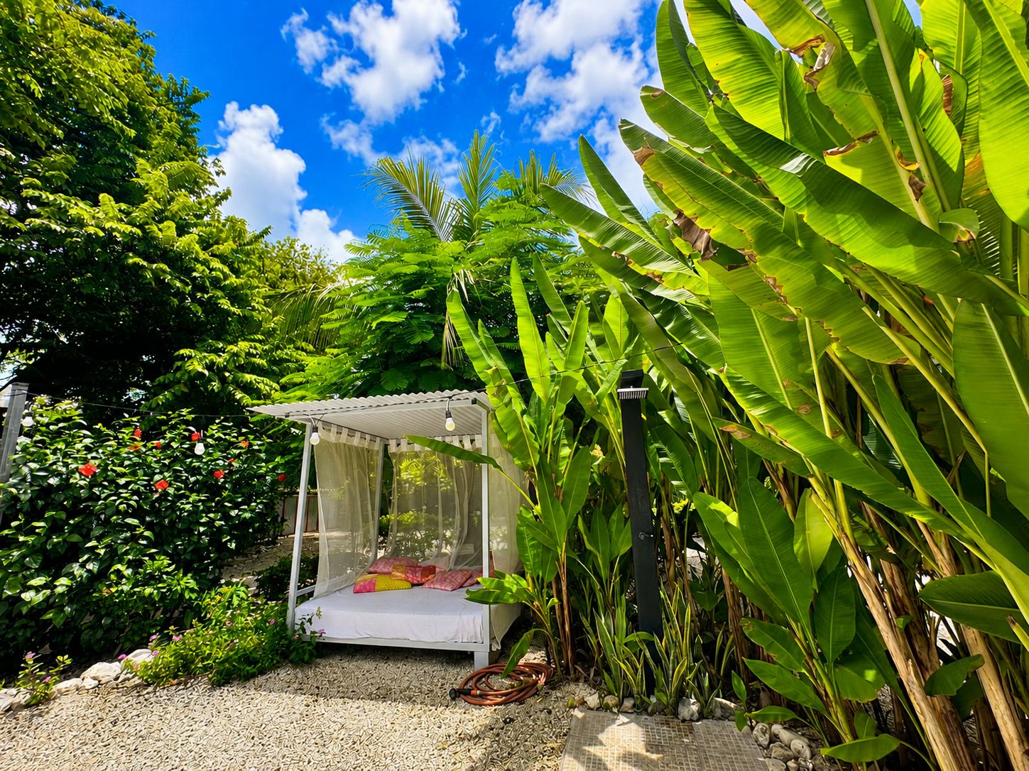 Un jardin avec un parterre de fleurs blanches sous une tonnelle, entouré d’une végétation luxuriante et de bananiers.