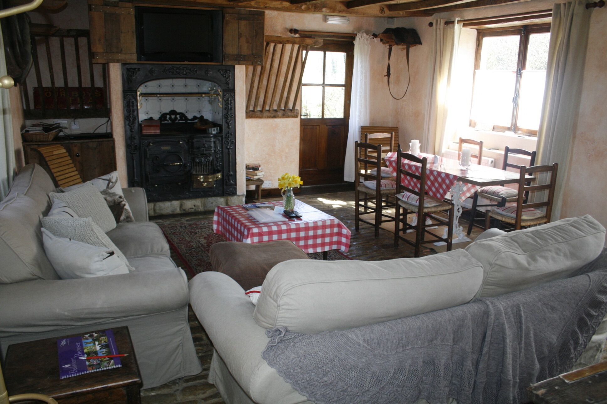 TV, fireplace, DVD player, books
