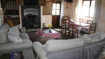 TV, fireplace, DVD player, books