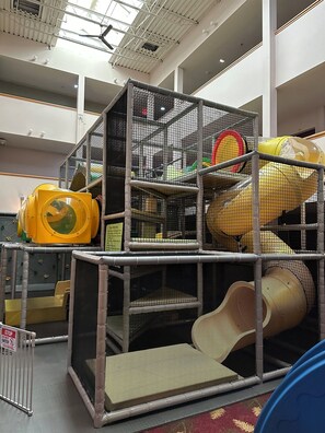 Children’s area